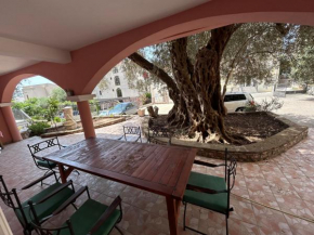 Villa Olive Przno 1 - Patio - Two Parking spots